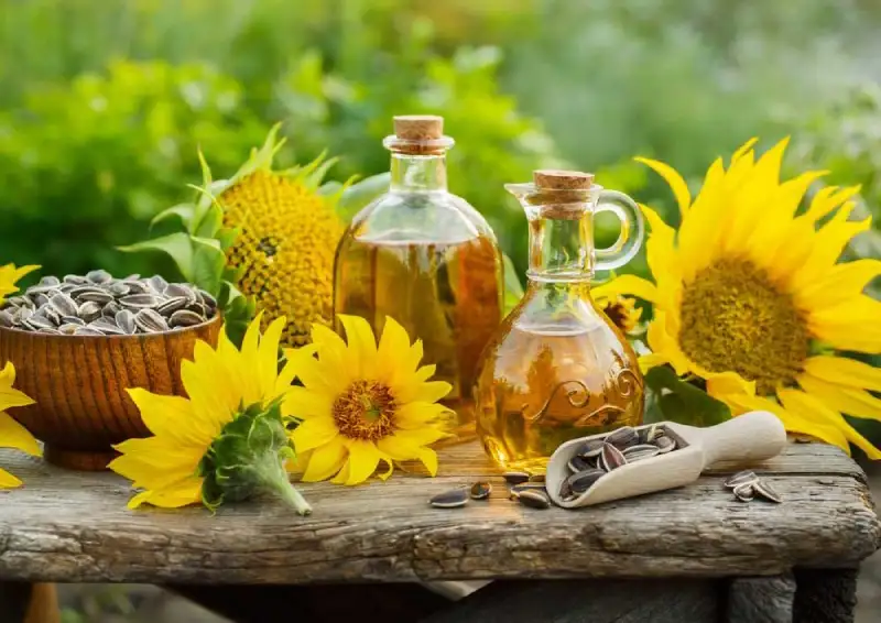 خرید روغن آفتابگردان تصفیه شده