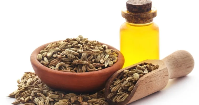 خرید روغن رازیانه