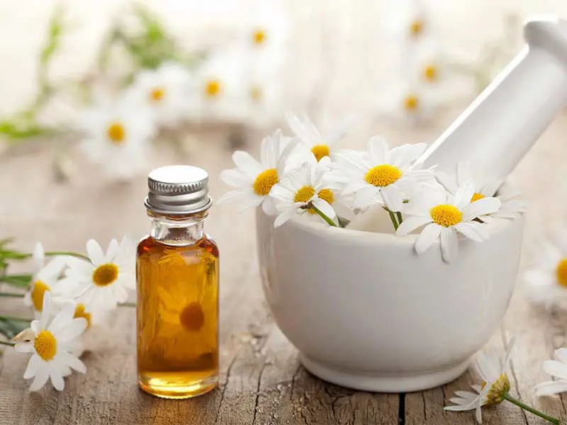 روغن بابونه