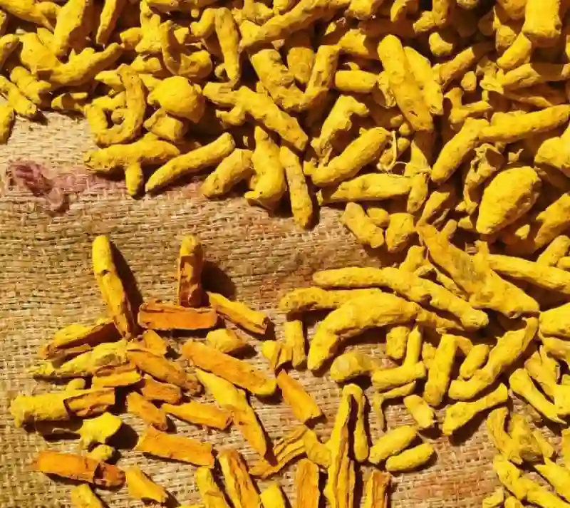 زردچوبه قلم