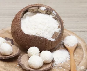 پودر نارگیل چرب سریلانکا