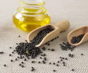 دانه روغنی کلزا