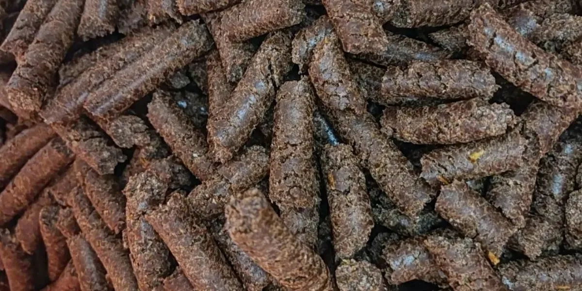 کنجاله کنجد