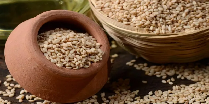 کنجد روغن گیری افغانی یا پاکستانی؟