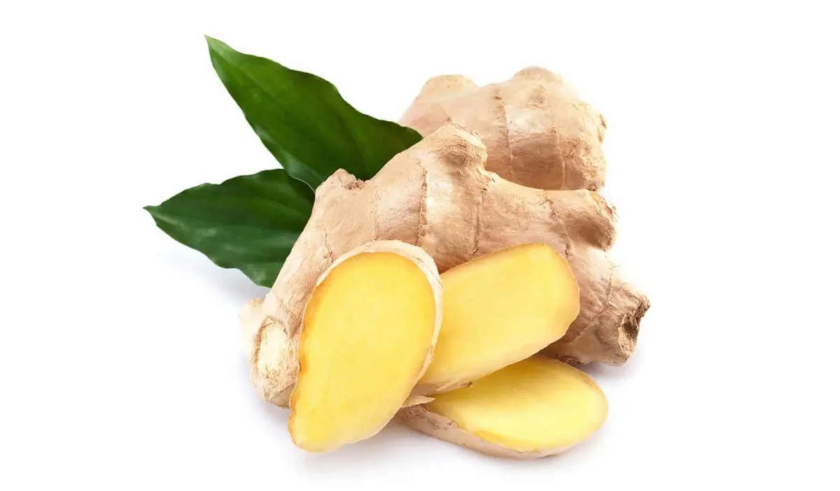 خواص زنجبیل برای باردار شدن