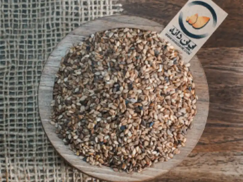 1مقاله-سرای-کنجد-مقاله-اول|دانه کنجد از ایرانه دانه|بهترین سرای کنجد اول