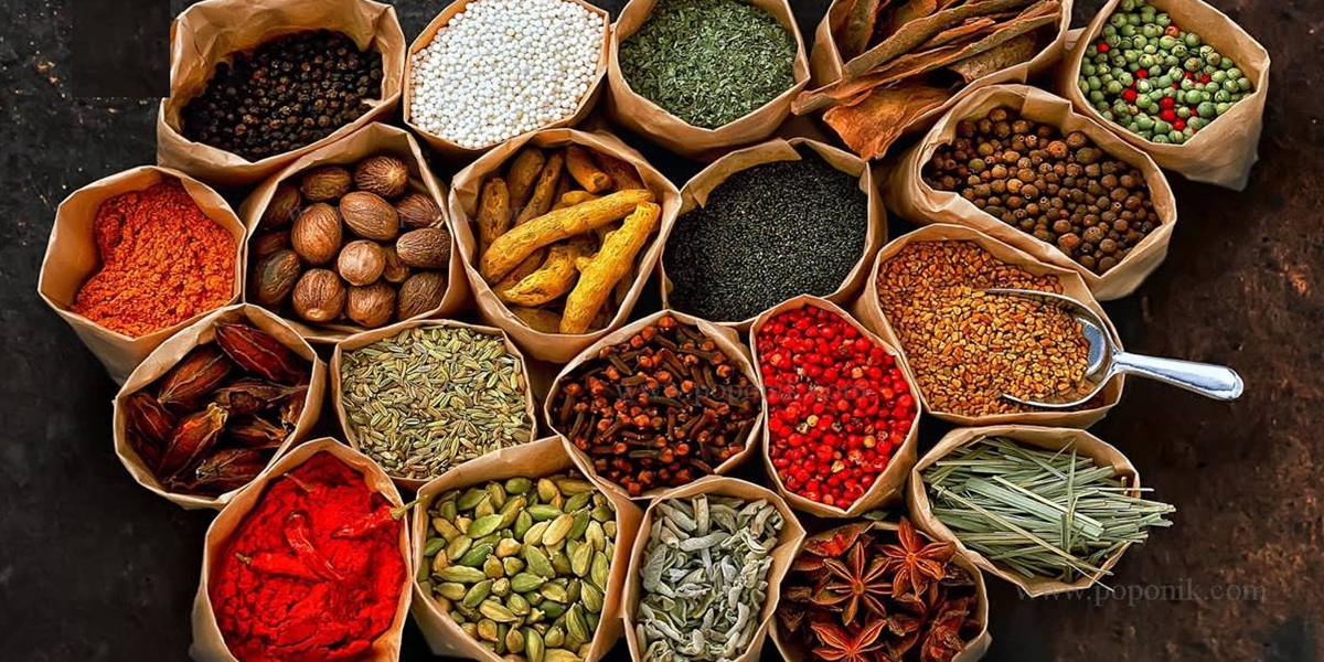 انواع ادویه جات و کاربرد آن‌ها در آشپزی ایرانی