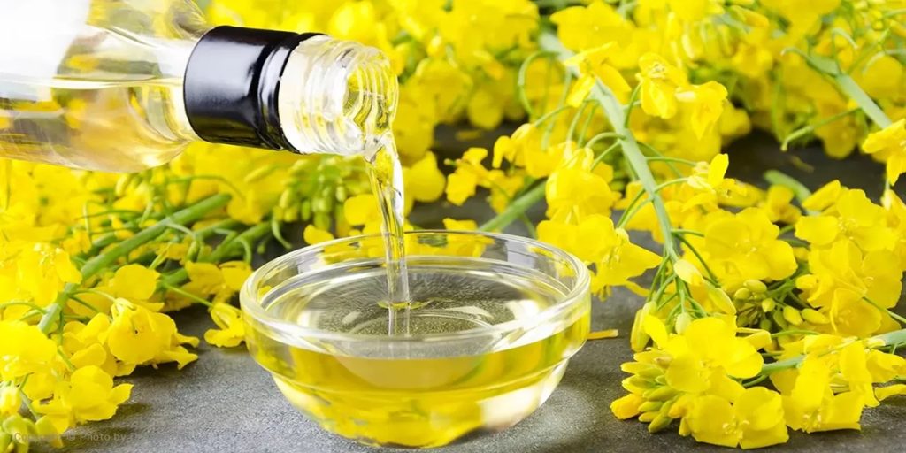 روغن کنجد کانولا|روغن کنجد کانولا