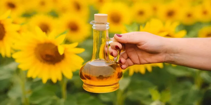 روغن آفتابگردان طبیعی در طب سنتی|روغن آفتابگردان طبیعی در طب سنتی