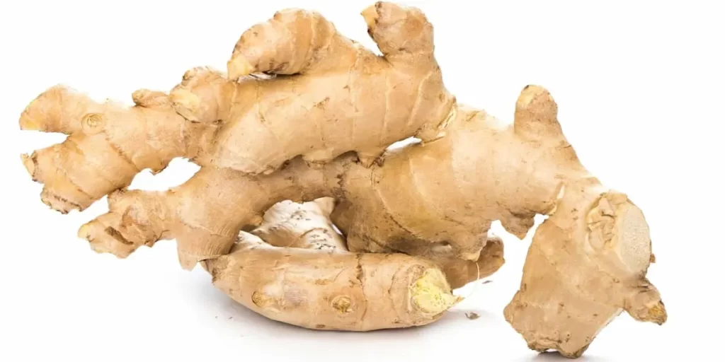 چند کیلو لاغری با زنجبیل|چند کیلو لاغری با زنجبیل