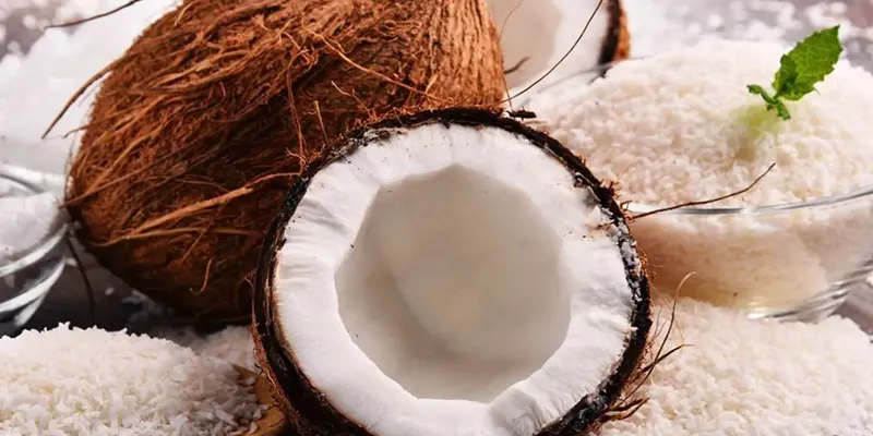 پودر نارگیل برای افزایش انرژی|پودر نارگیل برای افزایش انرژی