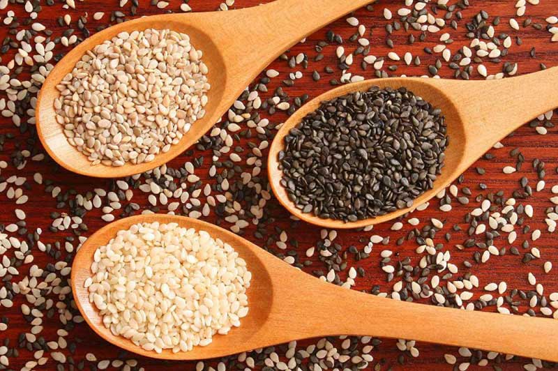 بهترین نوع کنجد برای روغن گیری|بهترین نوع کنجد برای روغن گیری