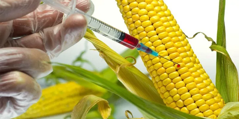 روغن تراریخته|روغن تراریخته