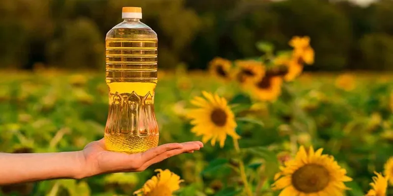 تلخی روغن آفتابگردان|تلخی روغن آفتابگردان