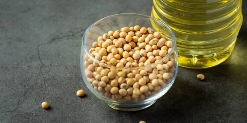 روغن سویا برای پوست|روغن سویا برای پوست