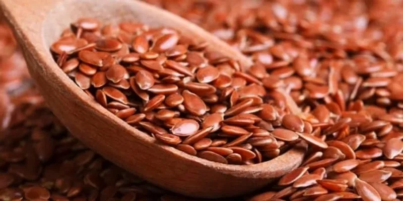 طریقه مصرف بذر کتان برای لاغری شکم|طریقه مصرف بذر کتان برای لاغری شکم