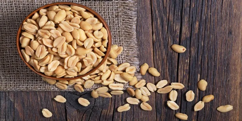 مزیت انواع بادام زمینی|مزیت انواع بادام زمینی