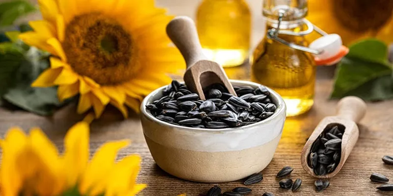 میزان مصرف تخمه آفتابگردان در روز|میزان مصرف تخمه آفتابگردان در روز
