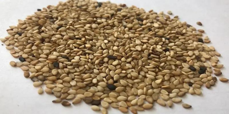 کنجد پاکستانی|کنجد پاکستانی