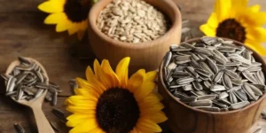 تخمه آفتابگردان برای معده